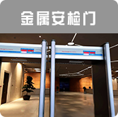 Metal Detector